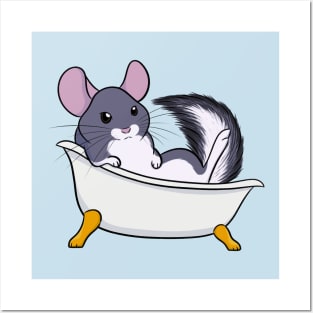 Chinchilla Bath Posters and Art